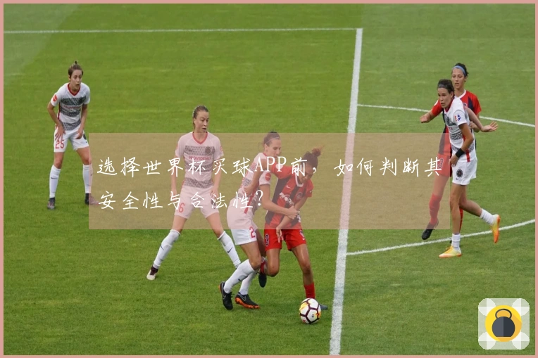 选择世界杯买球APP前，如何判断其安全性与合法性？
