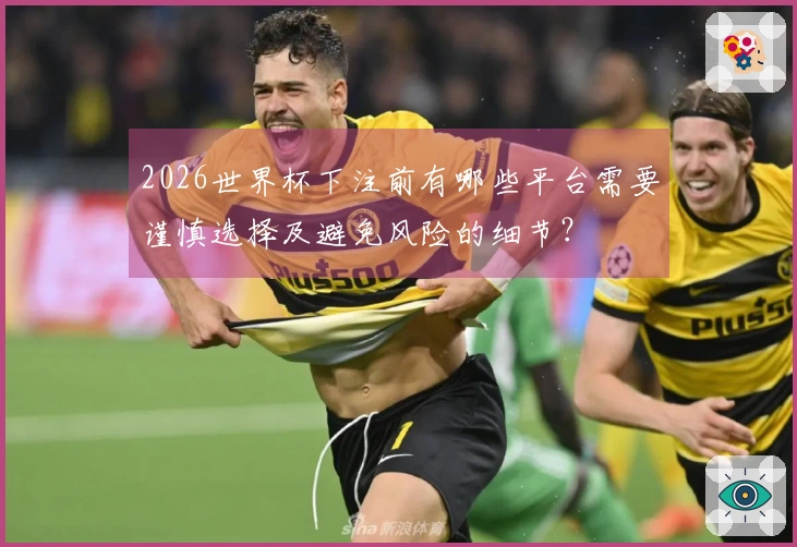 2026世界杯下注前有哪些平台需要谨慎选择及避免风险的细节？