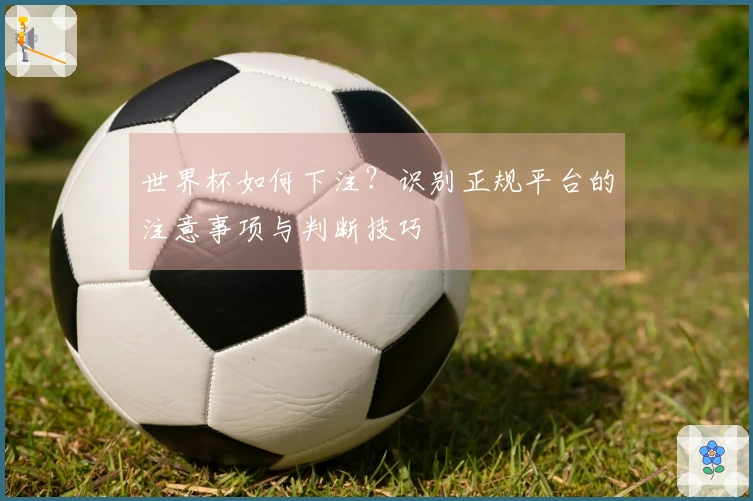 世界杯如何下注？识别正规平台的注意事项与判断技巧
