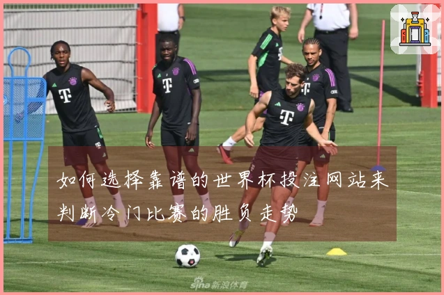 如何选择靠谱的世界杯投注网站来判断冷门比赛的胜负走势