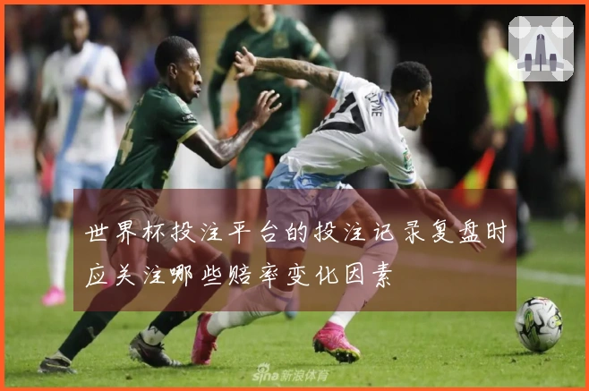 世界杯投注平台的投注记录复盘时应关注哪些赔率变化因素