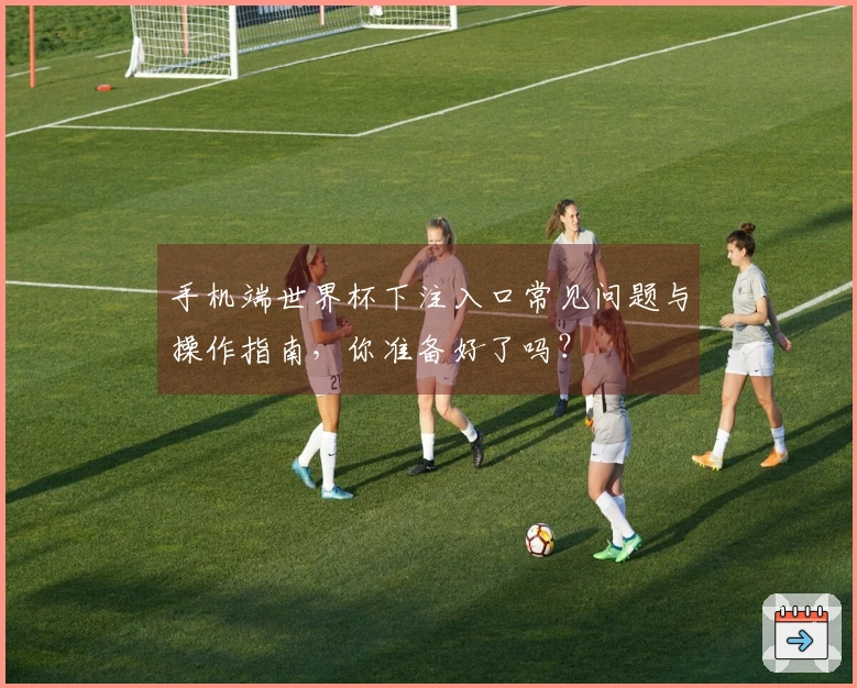 手机端世界杯下注入口常见问题与操作指南，你准备好了吗？