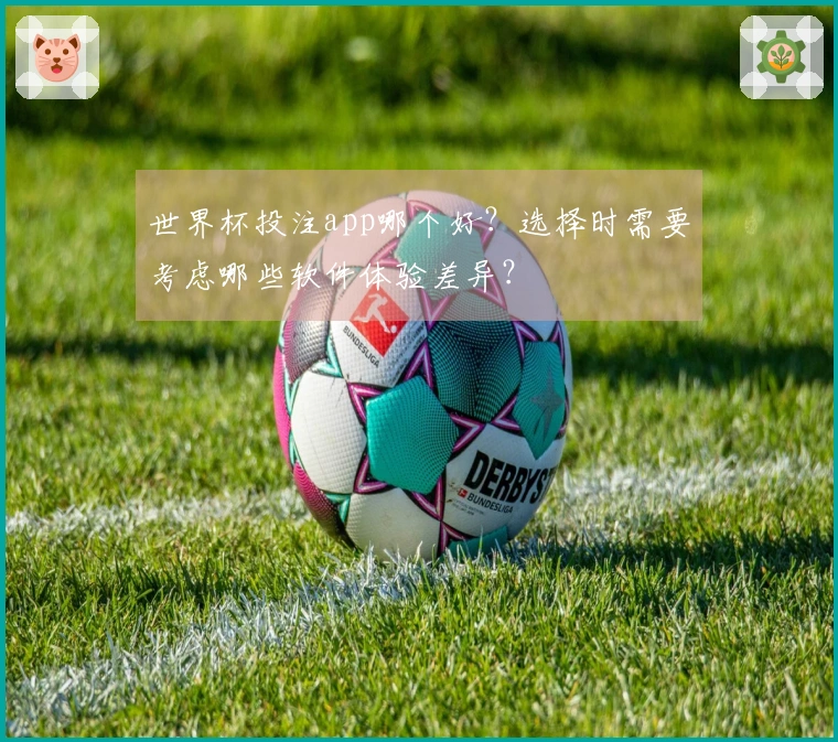 世界杯投注app哪个好？选择时需要考虑哪些软件体验差异？