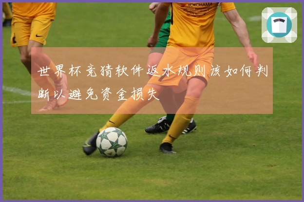 世界杯竞猜软件返水规则该如何判断以避免资金损失