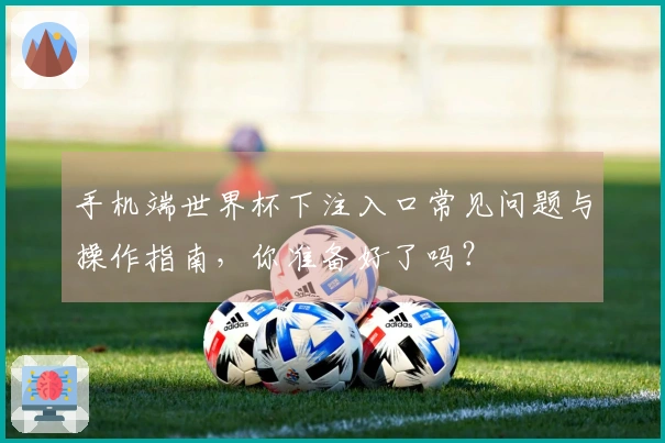 手机端世界杯下注入口常见问题与操作指南，你准备好了吗？