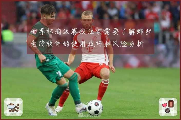 世界杯淘汰赛投注前需要了解哪些竞猜软件的使用技巧和风险分析