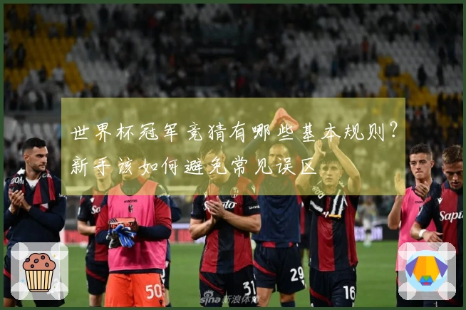 世界杯冠军竞猜有哪些基本规则？新手该如何避免常见误区