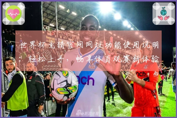 世界杯竞猜官网网址功能使用说明：轻松上手，畅享体育观赛新体验